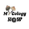 MycologyNow Logo