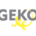 My GEKO Gear logo