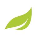 myspringenergy Logo