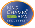 Nandi Imports Logo
