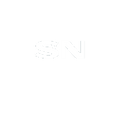 Nec Display Logo