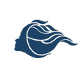NewTimes Hair Logo