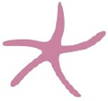 Nic del Mar Logo