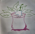 One Plant One Pot Logo