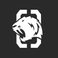 OneTigris China Logo