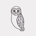 The Owl & the Apothecary Logo