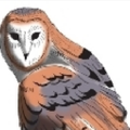 Owl's Treasures, Logo