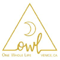 OWL Venice Logo