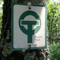 Ozark Trail Logo