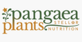 Pangaea Plants, USA Logo