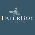 Paper Boy Wallpaper logo
