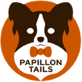PapillonTails Logo
