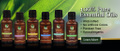 Paradise Springs Essential Oils Logo