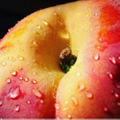 Peachlife Logo