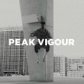 Peak Vigour Logo