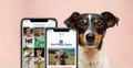 Pet Photo Saver Logo