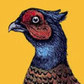 Pheasant Plucker & Son Logo