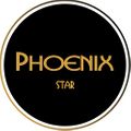 Phoenix Star Glass Logo