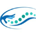 Physiotherapy Tool Logo