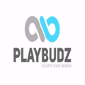 Playbudz Elevate Your Gaming - Home Of The Best PS4, XBox One, Nintendo Switch, Scuff Controllers & Accessories Logo