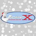 PolarX Ornaments Logo