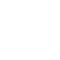 Prince Lionheart UK Logo