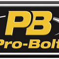 Pro-Bolt CH Logo
