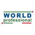 Professional World Logo