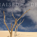 Raised By The Desert logo