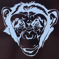 Reefmonkey Logo