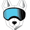 Rex Specs logo