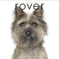 RoverWorks Logo