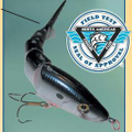 Scientific Fishing Logo