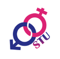 SextoyUnion logo