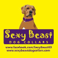 Sexy Beast Dog Collars Logo