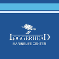 shop-marinelife Logo