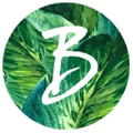 BauXo Logo