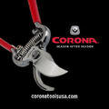 Corona Logo