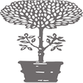 Janus Et Cie logo