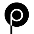 Punch Clothing Logo