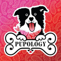 Pupology Logo
