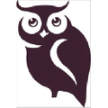 SkinOwl Logo