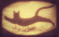 Slickcatbooks Logo