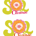 Sol Cleanse Logo