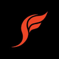Sole Fly Logo