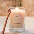 Soy Delicious Candles Logo