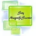 Soy Magnifiscents Logo