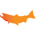 Spawn Fly Fish Logo