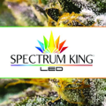 Spectrum King LED Logo