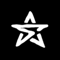 Stealth Bodyboards Logo